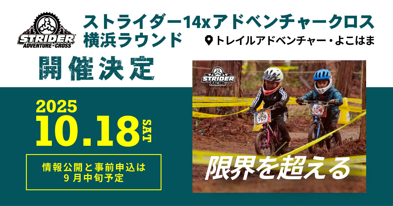 新品同様　ストライダー　付属品付き 楽天市場】 STRIDER専用パーツ > スペアパーツ（交換用