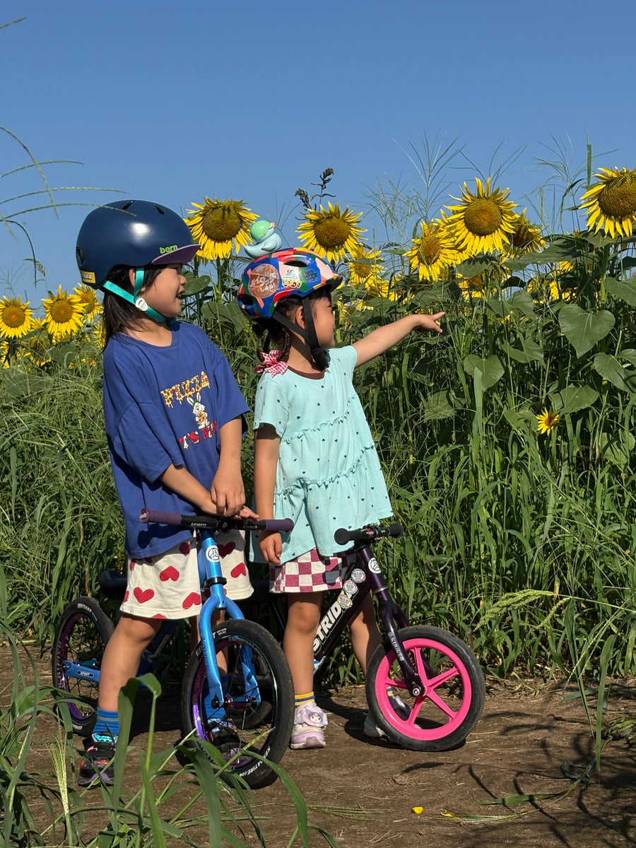 🌻なつさがし🌻