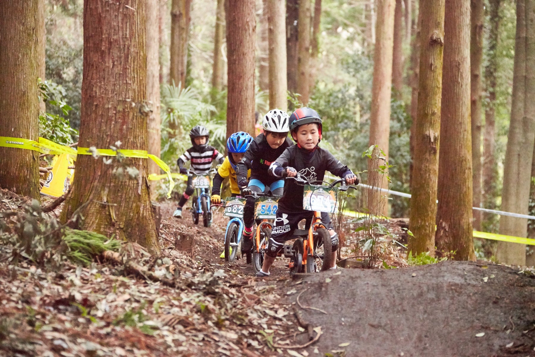 STRIDER 14x ADVENTURE-CROSS – strider