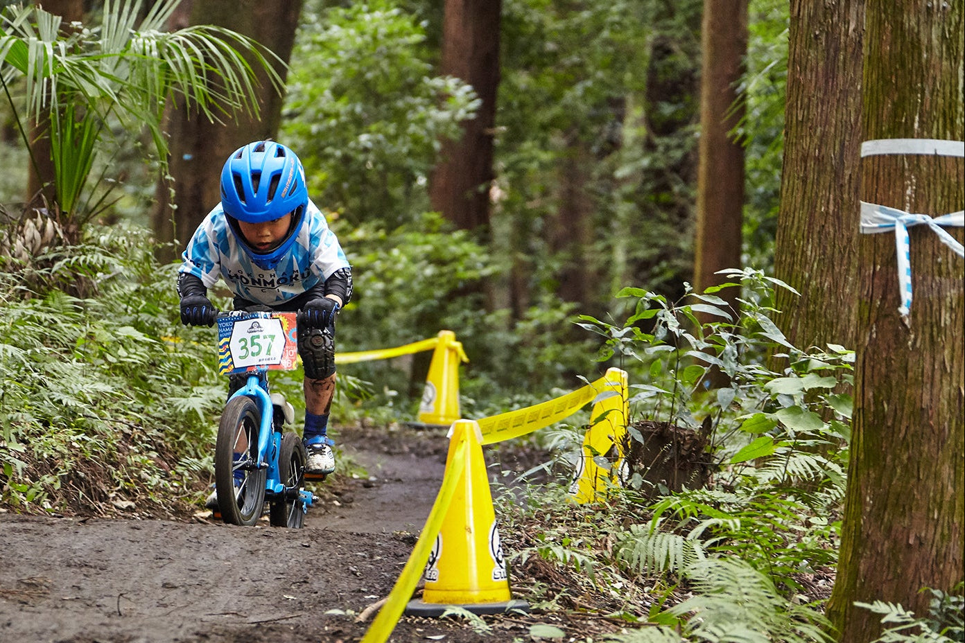 STRIDER 14x ADVENTURE-CROSS – strider