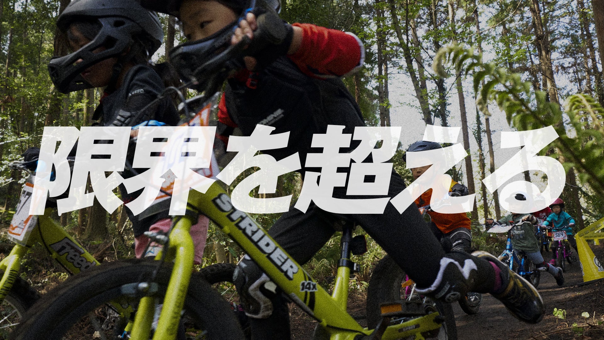 STRIDER 14x ADVENTURE-CROSS – strider