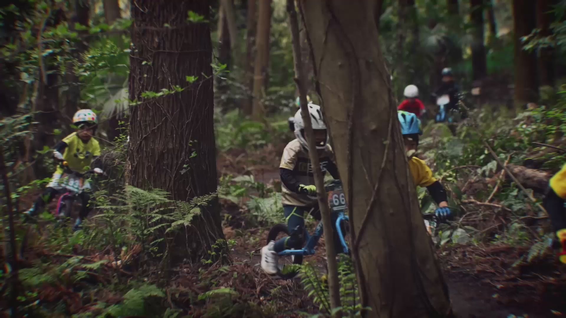 STRIDER 14x ADVENTURE-CROSS – strider