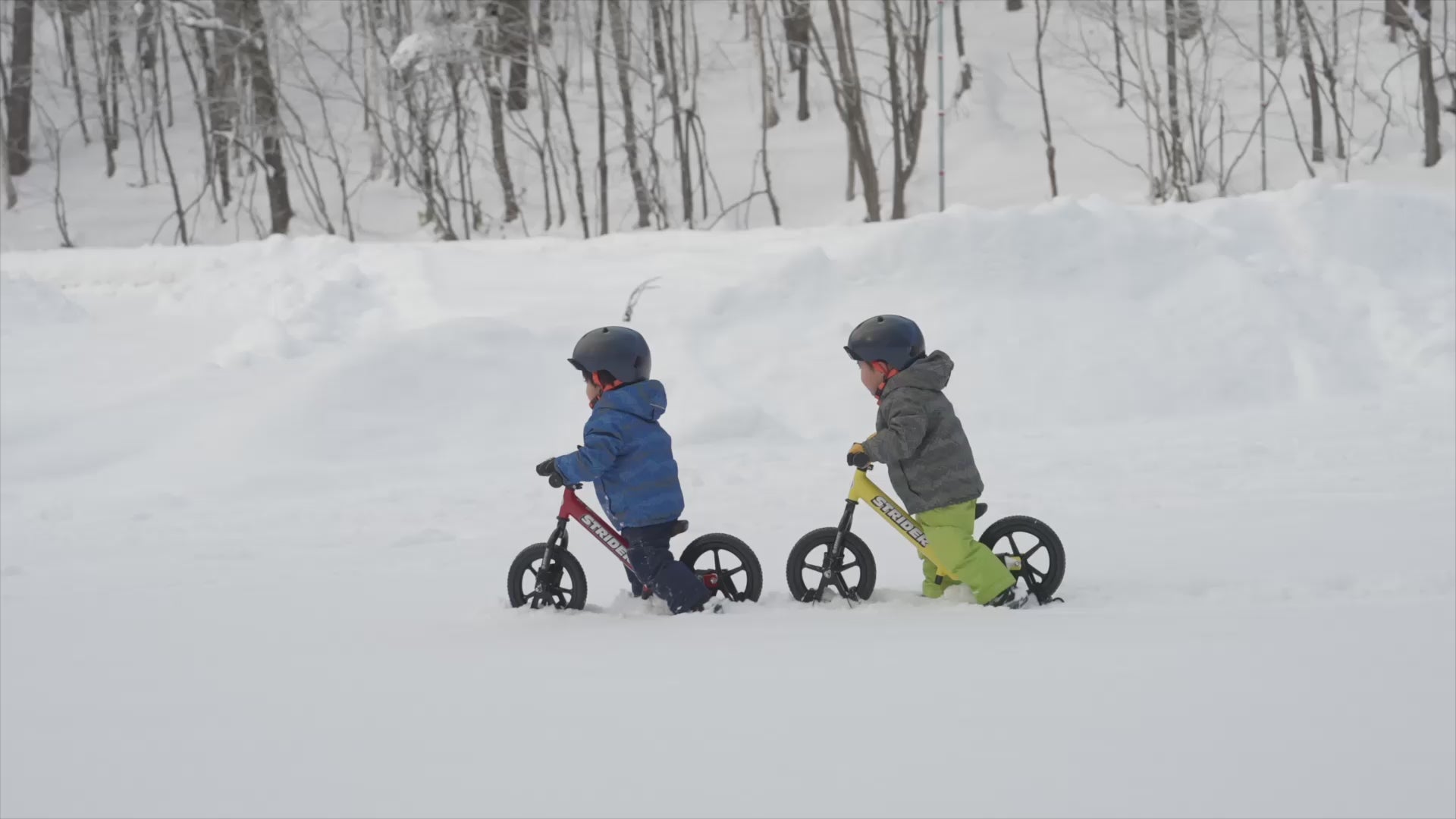 STRIDER | ストライダージャパン公式サイト – strider