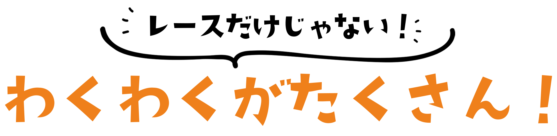 レースだけじゃないわくがたくさん